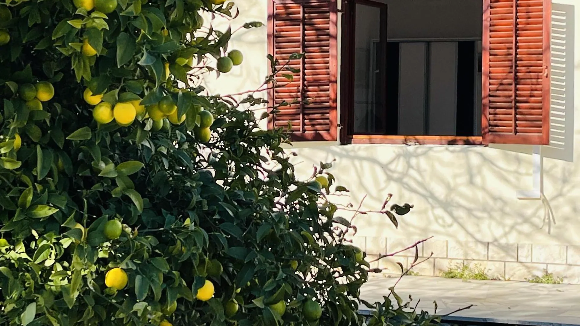 Beachfront Apartment Drazen With Patio & Parking Split 0*,